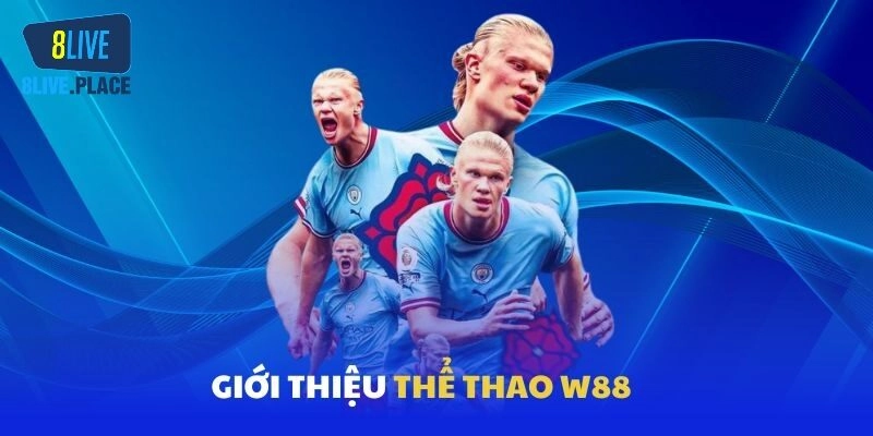 Tham gia W88 nâng tầm cá cược thể thao của bạn lên một tầm cao mới