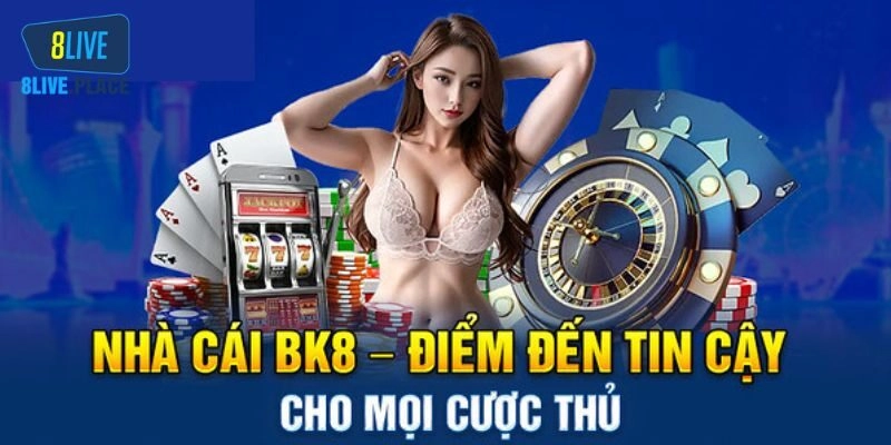 Giới thiệu chung về thương hiệu BK8