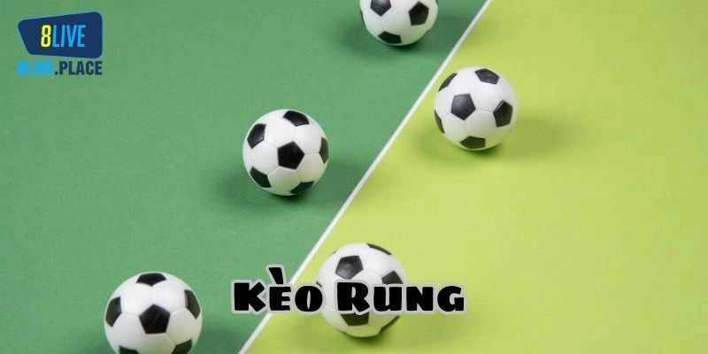 Tổng hợp các loại kèo rung hấp dẫn